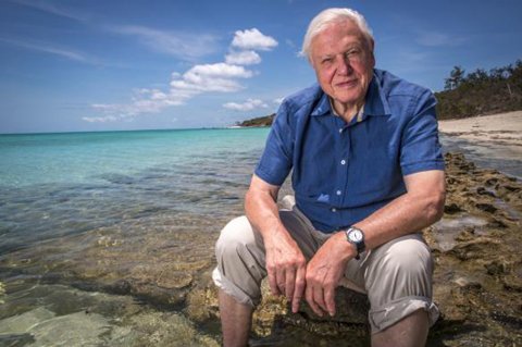 Time2Green's tweet photo. Sir David Attenborough says he's astonished by how people have responded to the plastic issue he raised in Blue Planet II ๐ณ The show revealed how much is in the world's oceans and the damage it's causing. Let's show him our support! ๐ช #ImWithDavid https://t.co/dUZ6zoRDqM https://t.co/8cF0WLkIdr