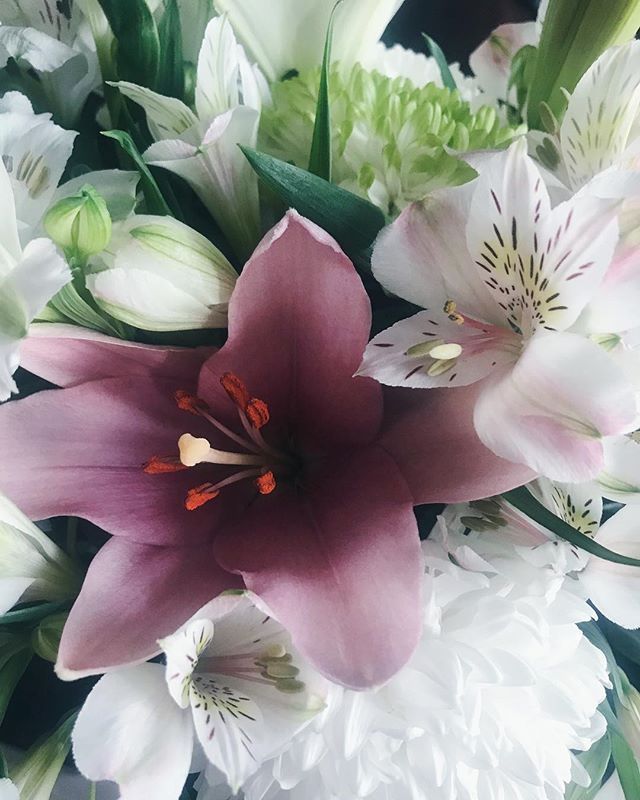 TheLWorld_ca's tweet photo. The earth laughs in flowers 🌷 🌸🌺🌼 https://t.co/gBHTPwY5yO