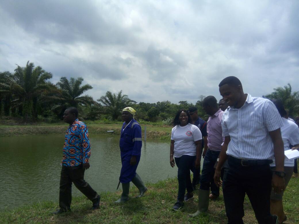 Ashanti Region is going to be the focus of the Aquaculture for Food and Job. 
  #Mofadminister@ashanti
  #Fishingcloseseason