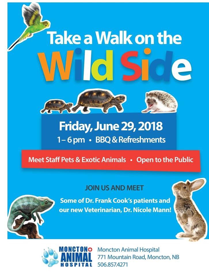 MonctonVet's tweet photo. CARMA Moncton is bringing a litter of kitten for show and tell.Come join the fun this Friday and"Take a Walk in the Wild Side"with us. https://t.co/d8K7FprGed