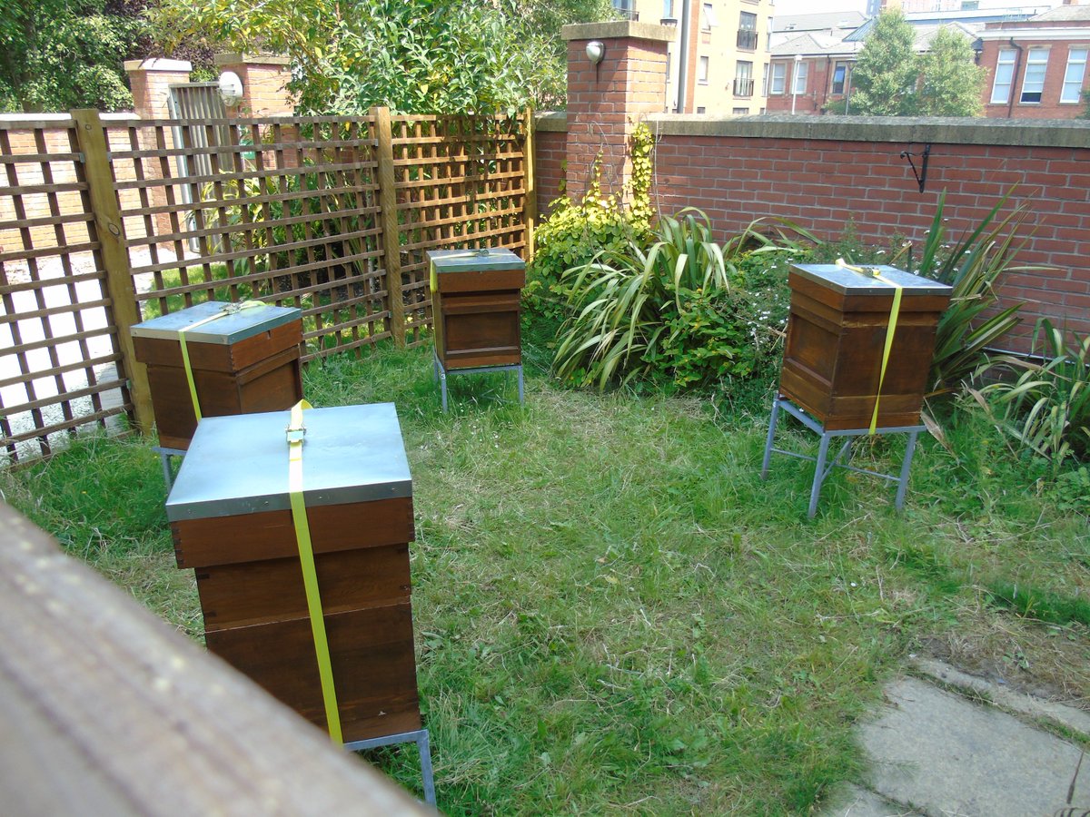 MCVolunteerTeam's tweet photo. A huge thank you to Salford Cathedral @SalfordDiocese for hosting our Volition team meeting this afternoon. What a beautiful day to explore the grounds, gardens, and visit the #bee hives. We are really excited to work together in the future #BeeKeeping #VolitionWorks #volunteer https://t.co/EreF71YITn