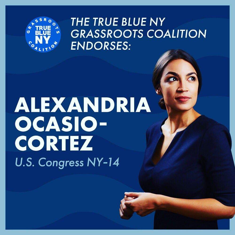 #Democrats need to elect more progressive, liberal, younger (under 60) candidates. We need to clean out Congresss. I am very happy about the #NYCD14 electing #OcasioCortez.