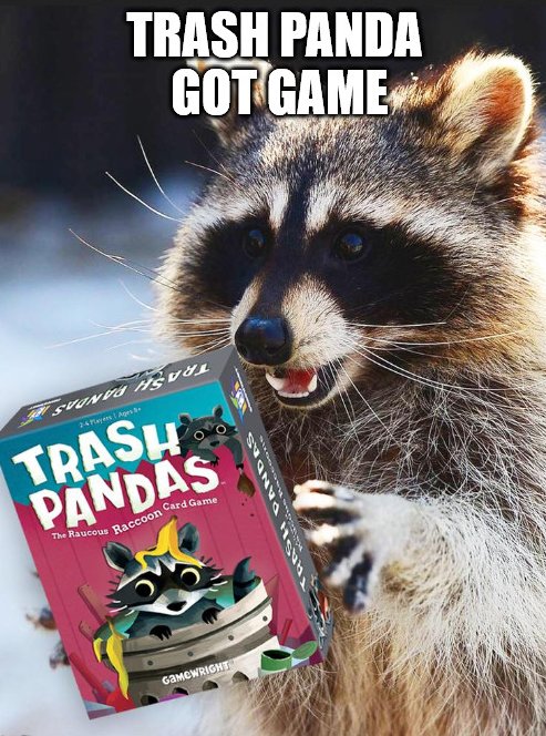 Trash Panda got game! Do you? 

#nowshipping #trashpandas #trashpanda