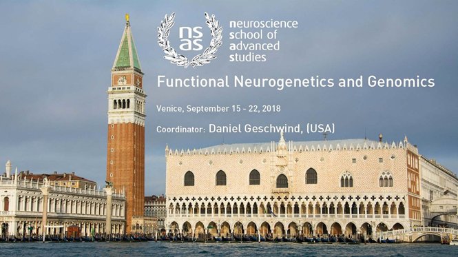 NeuroscienceSAS's tweet image. Join the experts to decode how genetic variation leads to behavioral and cognitive phenotypes. @PascaStanford @jonathan_flint1 #neuroscience #BrainSignature #neurobiology #omics #epigenomics #proteomics #transcriptomics #GeneTherapy nsas.it/courses2018/ad…