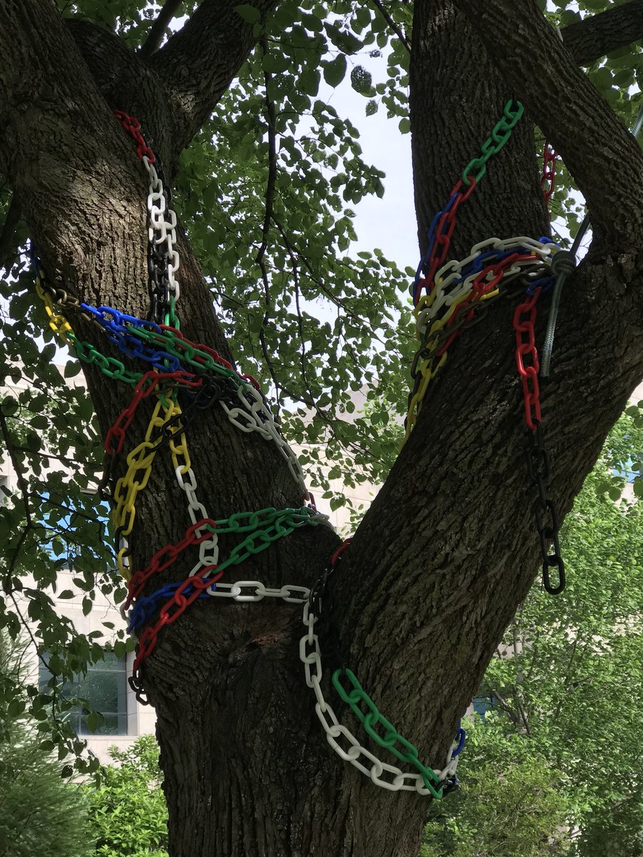 ISUStuGovPres's tweet photo. The Tree of Oppression is now on campus. We will be placing a yard sign in front of the tree to explain the purpose and contact information for students to communicate their thoughts and opinions. https://t.co/DvMq07xYZX