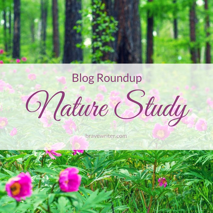 bravewriter's tweet image. Welcome to the latest #blogroundup - This roundup in particular is special because June is #naturestudy Month here @BraveWriter « A Brave Writer’s Life in Brief hubs.ly/H0cPBPv0 #bravewriterlifestyle