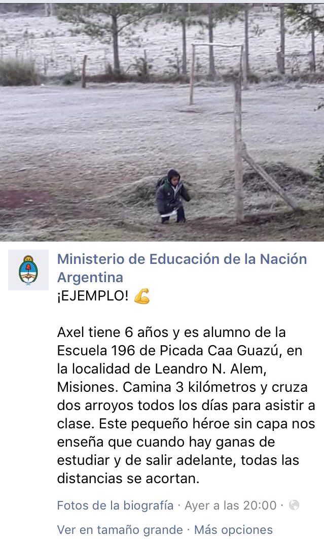 NatiRamoneOk tweet picture
