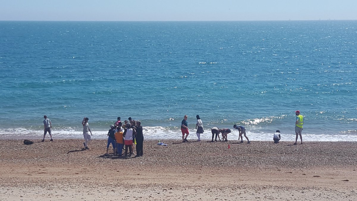 AlbemarleSchool's tweet photo. Year 6 having a fabulous time on the beach at #MillRythe https://t.co/HLlQmmMJ2p