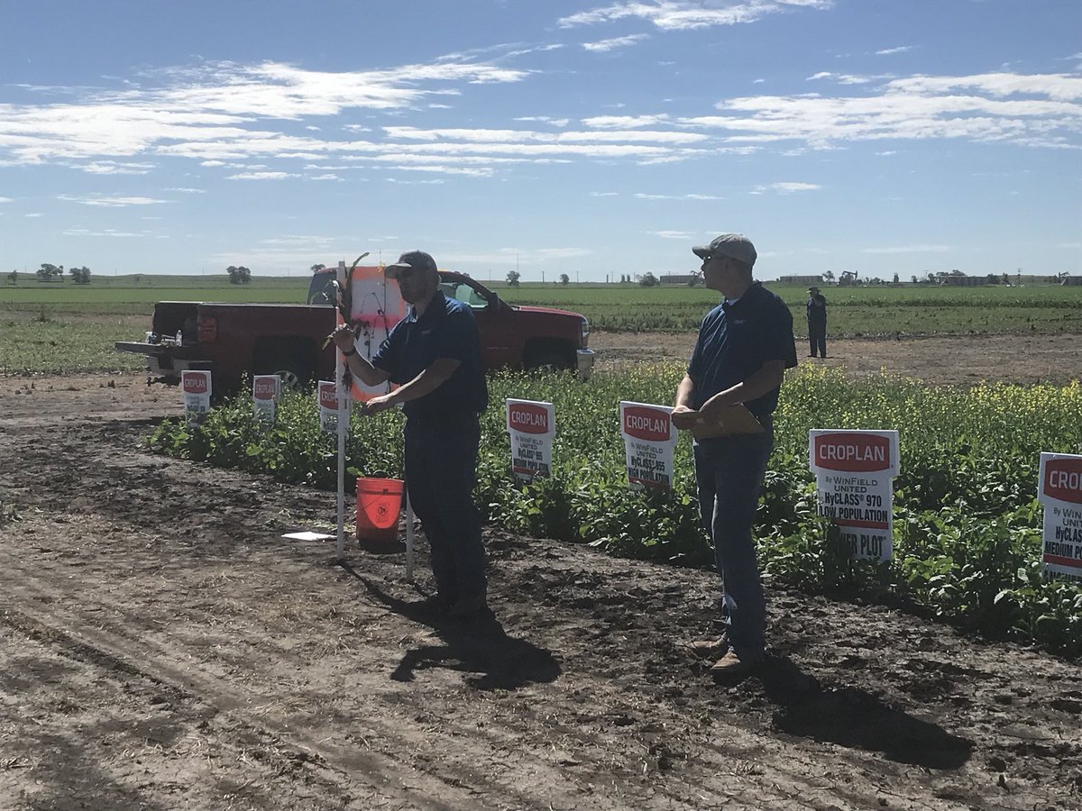 AgronomyGambler's tweet image. Ross, ND Answer Plot @okkefromuskogee @bohl_bob talking at the canola demo talking nutrient mobility #nutrisolution360 @WinFieldUnited @CROPLANseed
