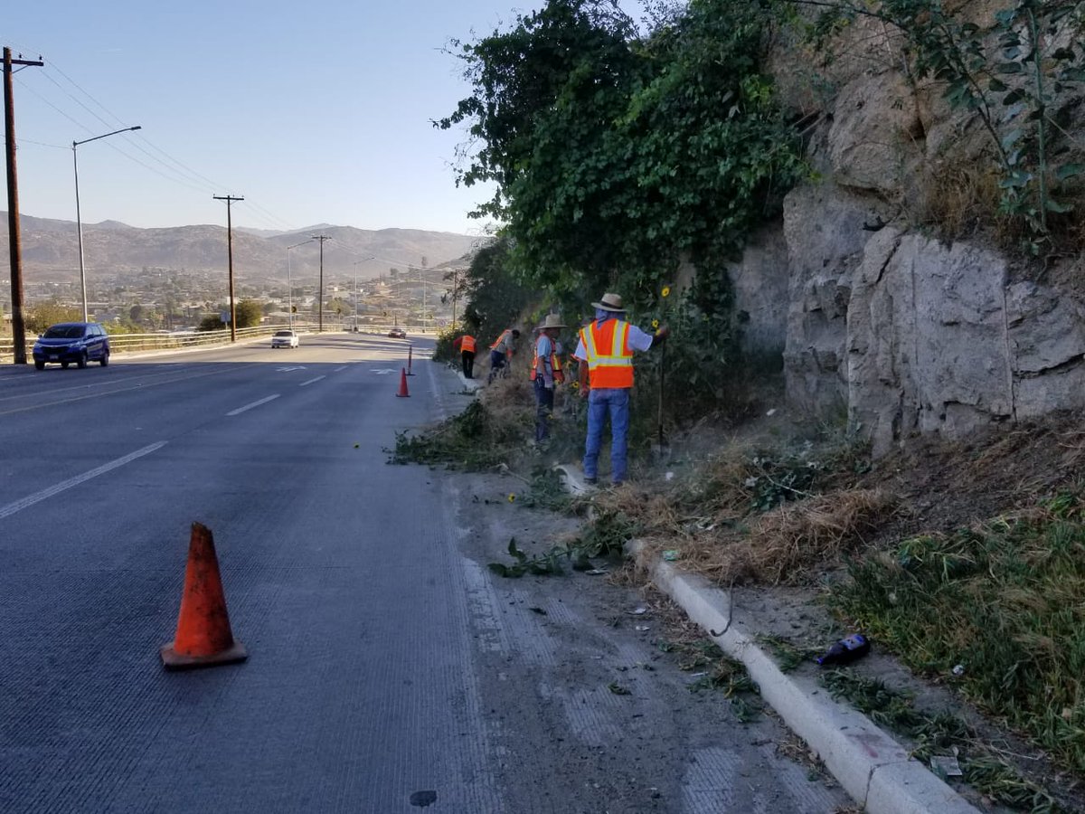 Las brigadas de limpieza iniciaron labores desde temprana hora. Se emplearon a fondo desazolvando y realizando tareas de poda y recolección de basura. #ServiciosQueNoTeCuestanMas #TecateLimpio goo.gl/yLCxmg