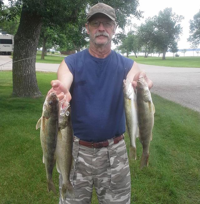 huntfishplan's tweet photo. Couple keepers caught #bottombouncing #spinners and #slowdeath rigs on #devilslakend .
.
.
#huntfishplan #ndfishing #nodak #ndlegendary #devilslake #walleye #walleyes #walleyefishing #marbleeyes #gravellizard #lakefishing #onthelake #jigging #backtrolling #trolling #livetofish  # https://t.co/f5qdJUYayI