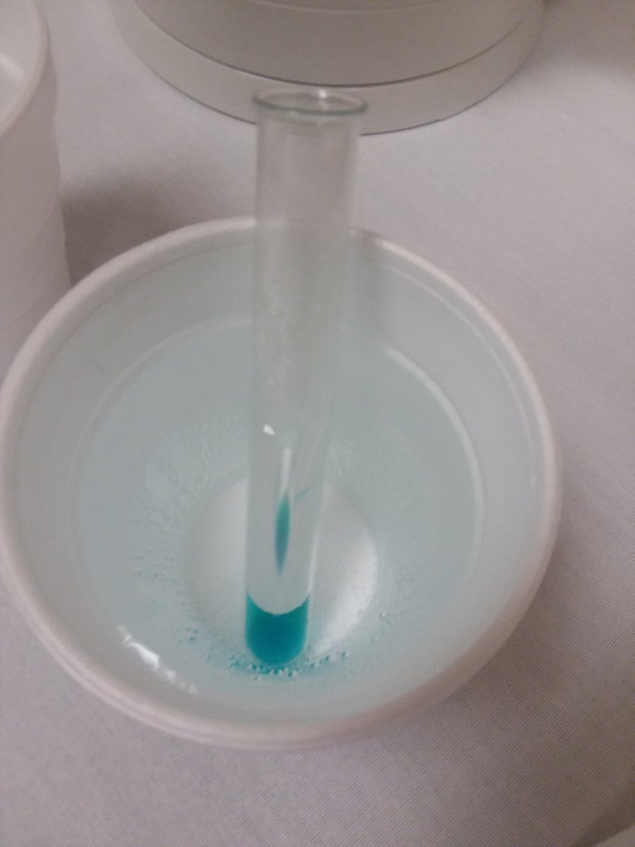 TaylorEnsign's tweet photo. Bet you can't guess which test tube (of urine) tested positive for glucose! A helpful tool for diabetes testing in animals! #WIAgEd #NAAEinquiry #NAAE https://t.co/vynaUtltTs