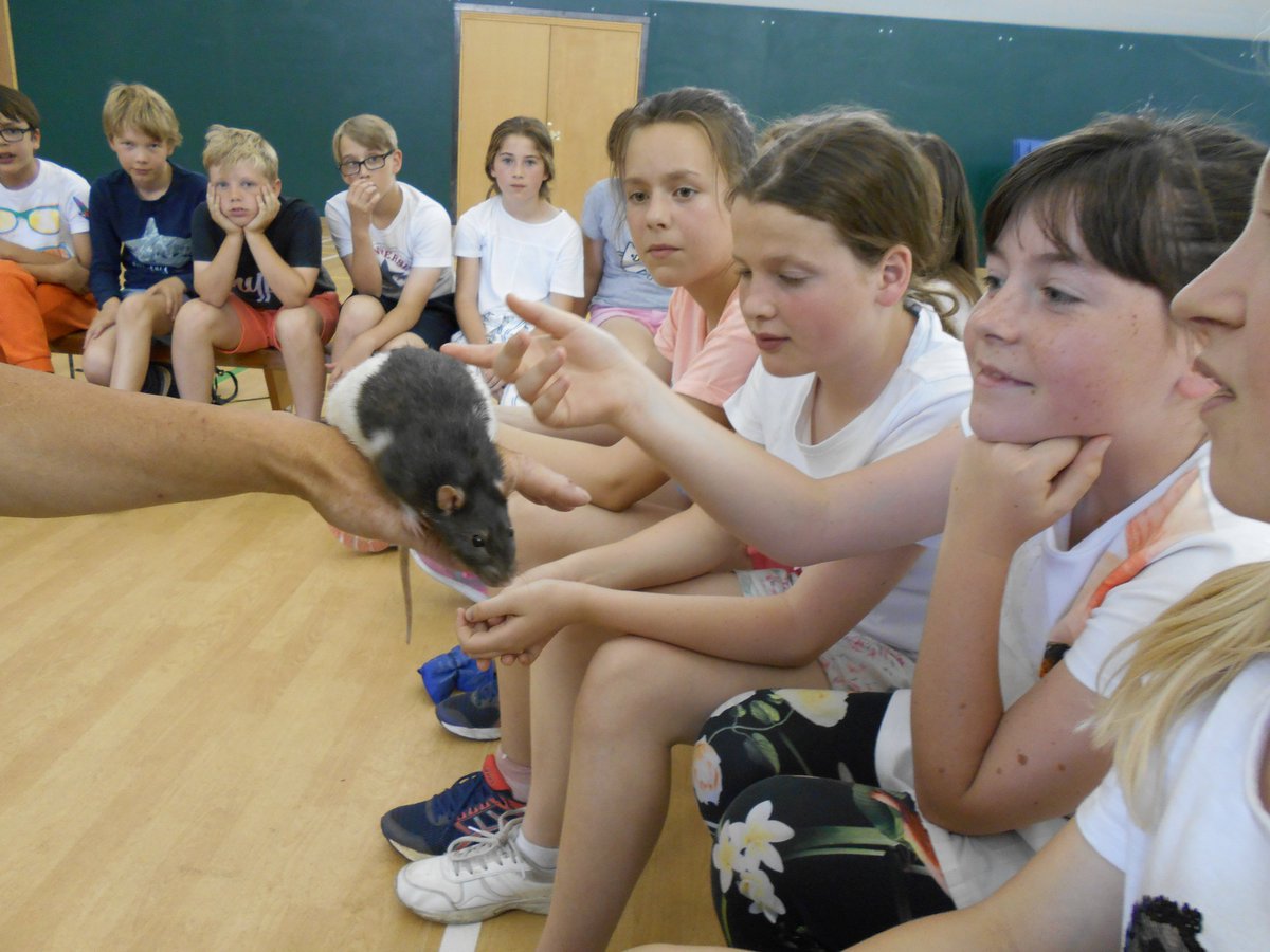 Spratton Hall tweet media