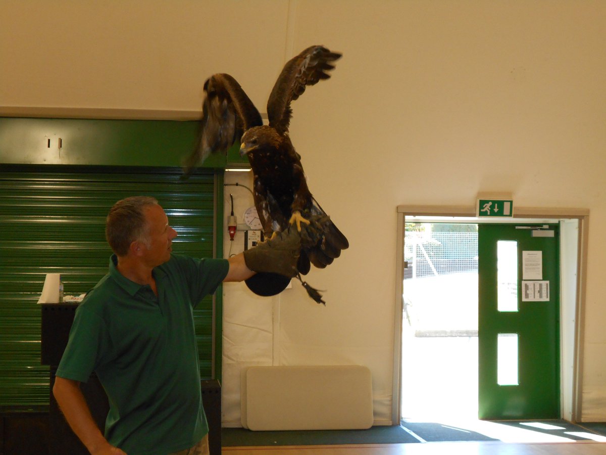 Year 6 were very brave today when they had a visit from Dave <a href="/Raptorxotics/">RaptorXotics</a> who introduced them to some of his little, and not so little, friends!