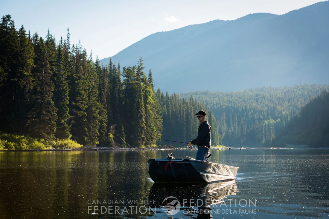 Canada’s Fisheries Act has now been re-jigged and cast to the Senate for final review before becoming law. Read all about it on the CWF blog. ow.ly/WKlP30kGTzL