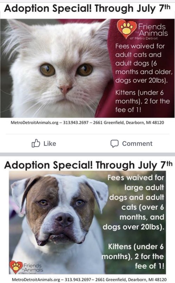 Help #emptytheshelter with waived adoption fees through July 7th! 

If you cannot adopt, there is always a need for fosters, volunteers, and donations 🐾