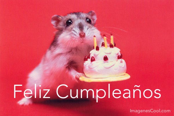 asorata's tweet photo. @gash276  Feliz cumpleaños GRabriela, aunque tú pensar te haya alejado de mi, deseo bienestar y felicidad para ti. Pásala bien. https://t.co/WKRoxB8ERd