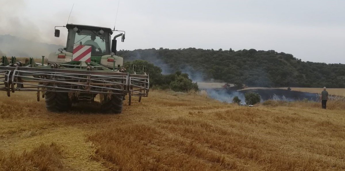 Arde un campo en Peralta de Alcofea por la chispa de una cosechadora
bit.ly/2lEXrVr