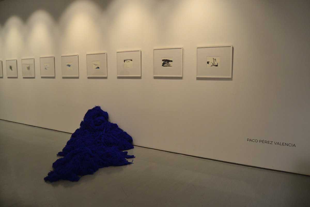 TSombraMurillo's tweet photo. MIRANDO A MURILLO en la Fundación Valentín de Madariaga hasta el 23 de septiembre. 

#traslasombrademurillo #añomurillo #murilloSev #murillo #arte #picoftheday #artecontemporáneo #Sevilla #pacoperezvalencia #instalacion https://t.co/zN2zviIzAu