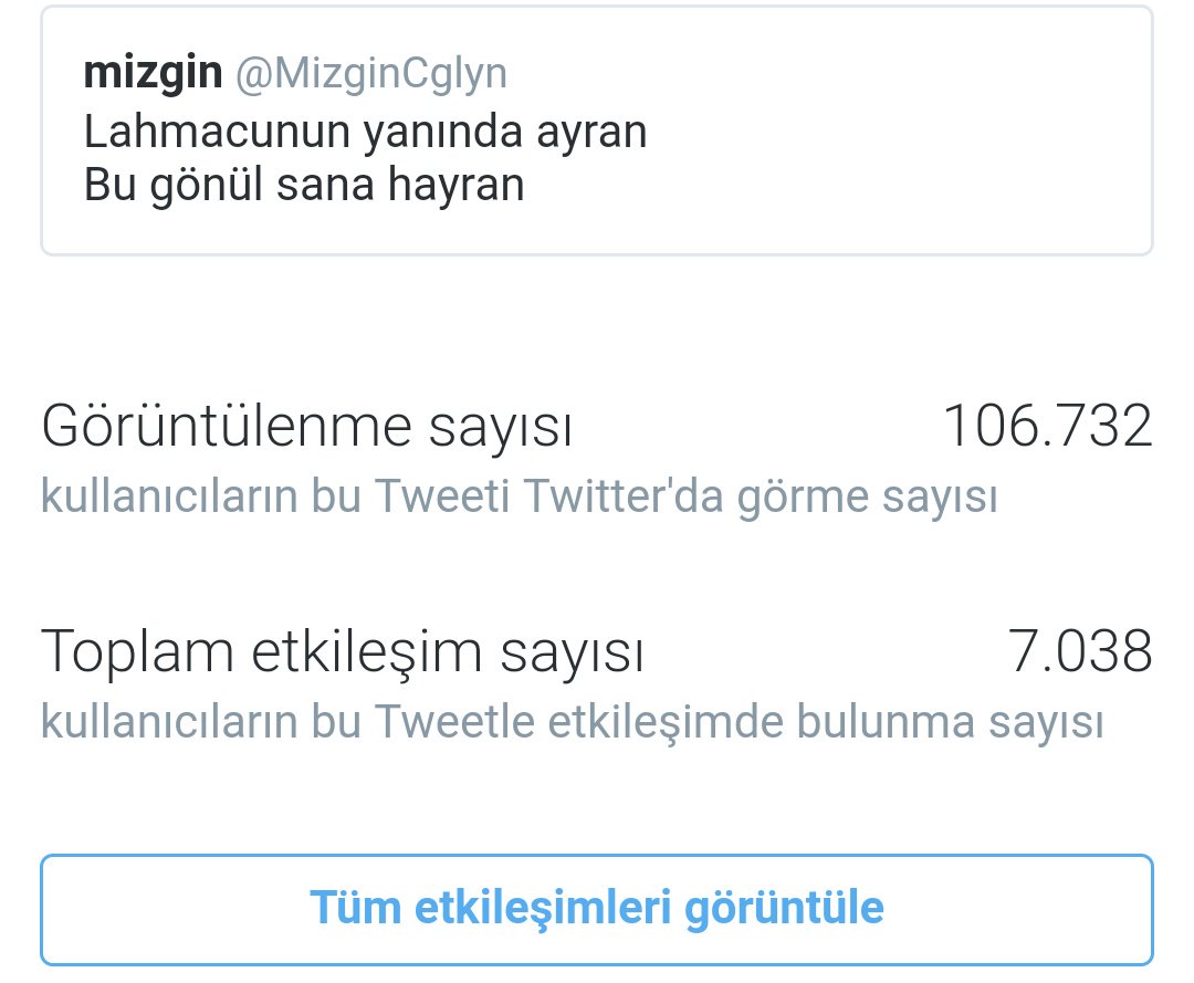 Herkesin gönlünü yapamam sonucta