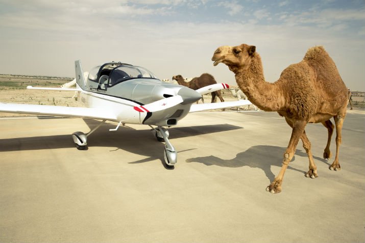 HoganFlying's tweet image. Happy Hump Day! 🐫✈️ (513) 939-4349

#HoganFlyingServicesOH #privatepilot #flightinstruction #groundschoolinstructions #flightrentals #flightschool #learntofly