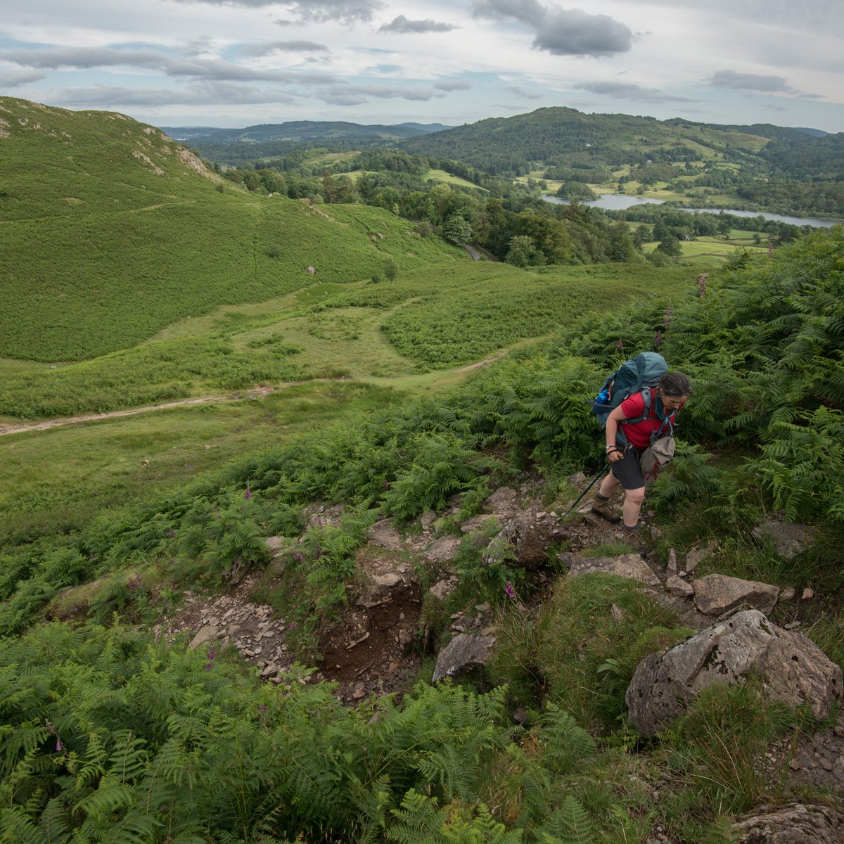 butnorain's tweet image. This time last week
Day 4 of our 7-day #treefold walk
20km

Our lingering thought: if you don&apos;t tread seldom-used paths they disappear, &amp;amp; so do the stories that go with them

The day began with rain at the #TreeCharter tree in @GrizedaleSculpt &amp;amp; ended under a bruised solstice sky