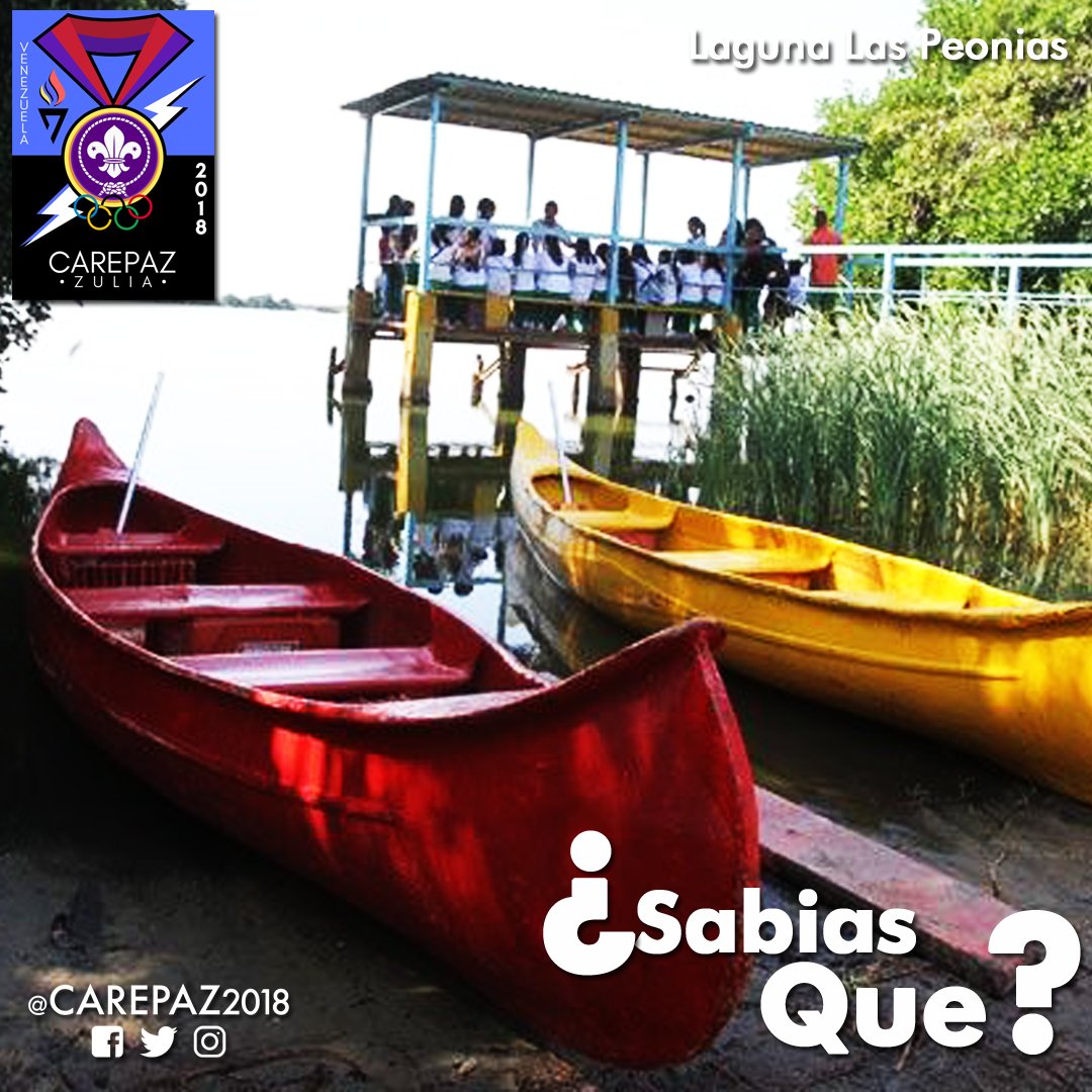 CAREPAZ2018's tweet photo. ¿Sabias Que? El estuario conserva toda una belleza paisajística que deslumbra a cualquiera que lo visita, enriquecida en los últimos años con el aumento del número de flamencos, aves que han acogido a estas aguas como sitio de alimentación todo el año #SomosCarepaz #Carepaz2018 https://t.co/SQmtNp8XRN