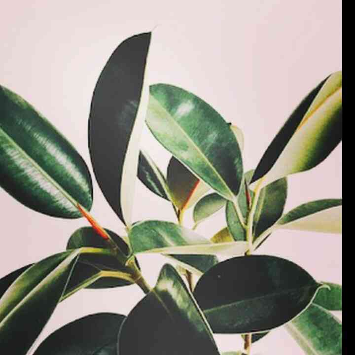 Wow, Amazing! Keynas is broadcasting on Kiki.Live ,come to join! m.cblive.tv/3598031?packag…