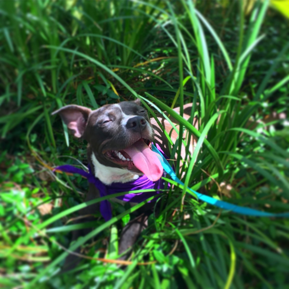 FSWCollege's tweet image. Thank you to all of our community partners for sharing their resources today for #NationalPTSDAwarenessDay! 🇺🇸