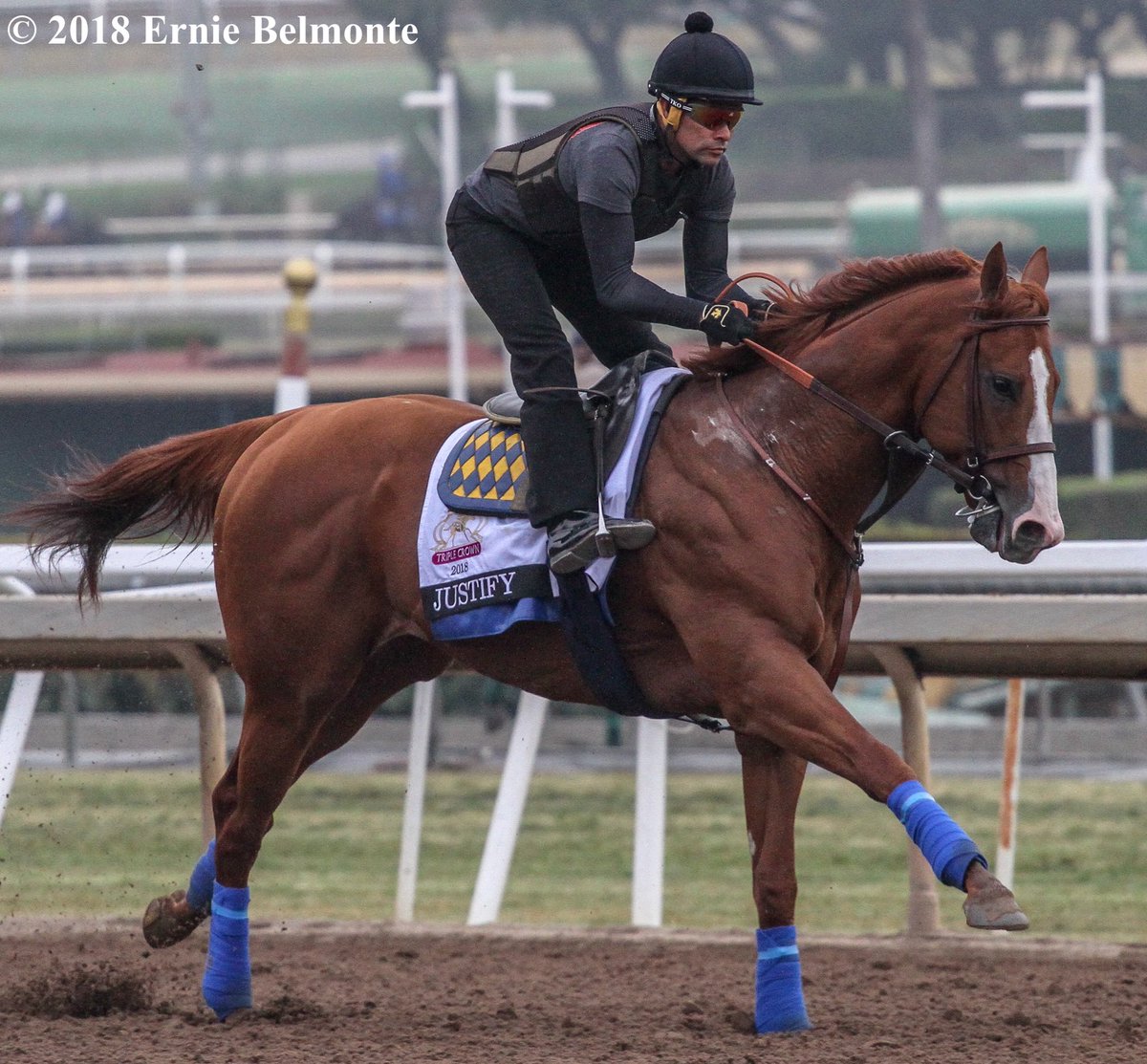 Ernie_Belmonte's tweet image. Triple Crown winner Justify galloping this morning. @WinStarCEO