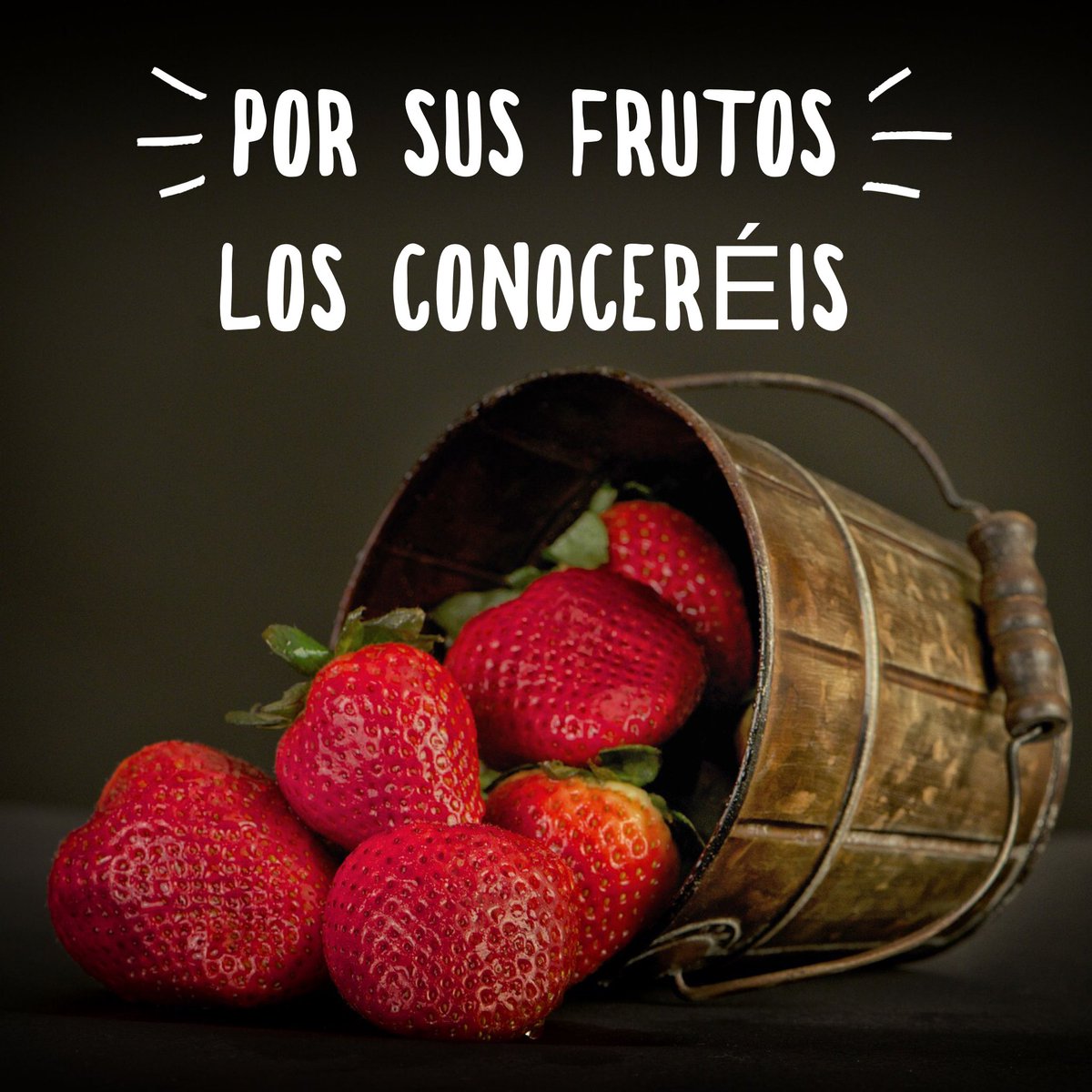 Frutos