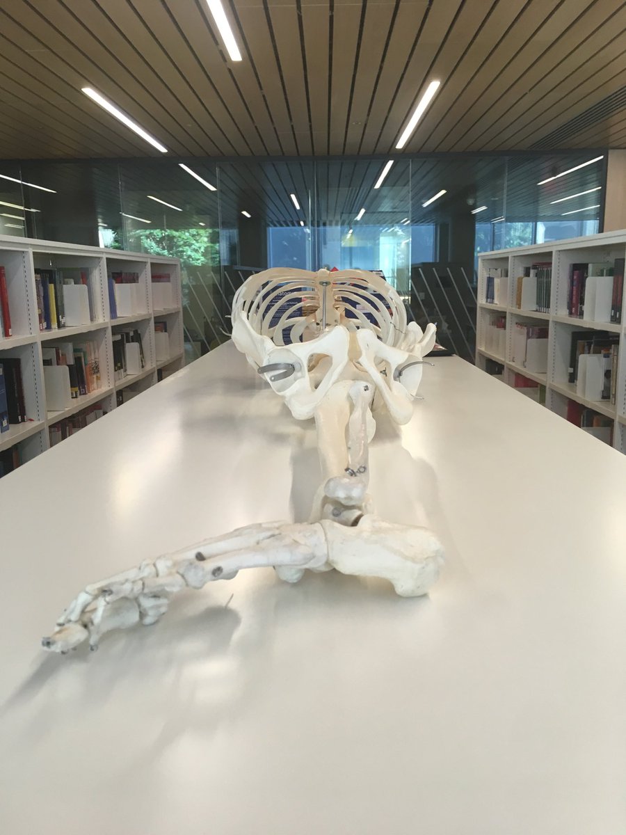 Aaron Binchy tweet media