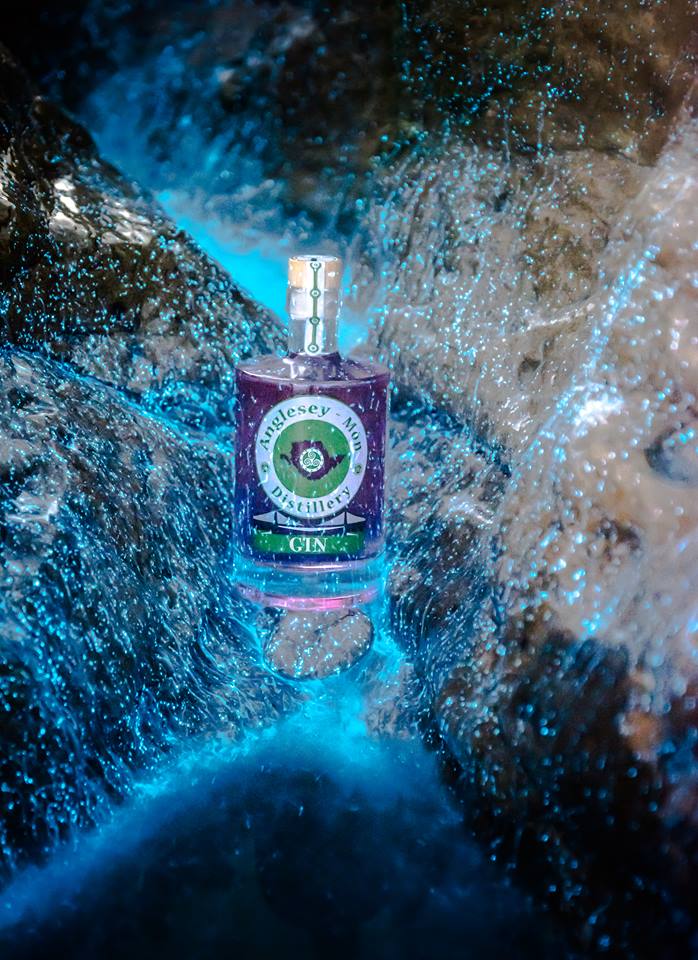 AngleseyMon's tweet image. The magic of Anglesey in a bottle #anglesey #gin #summer #visitwales #instawales #pinkgin #pentraeth #ginlovers