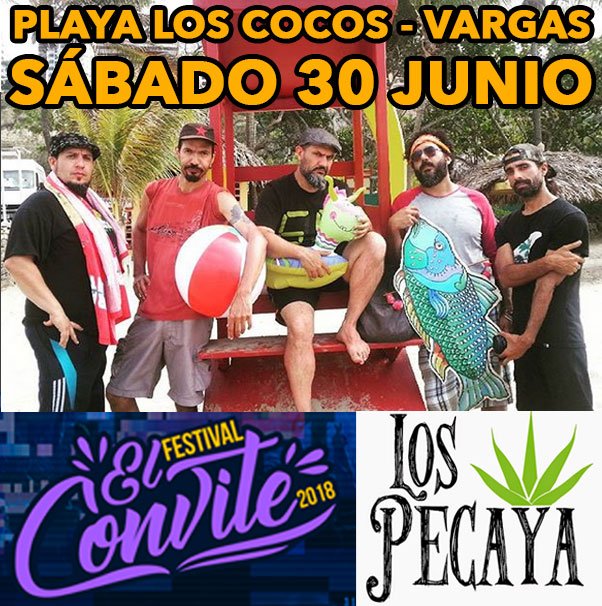 Los Pecaya tweet media