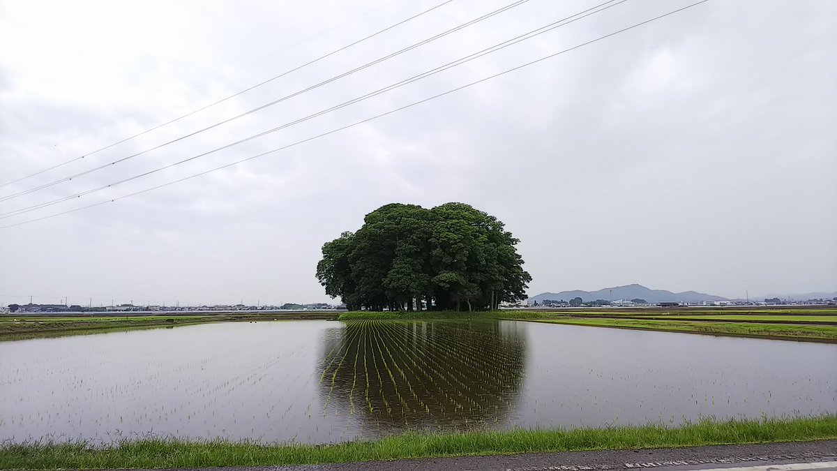 田んぼの中にぽつんと茂みに囲まれた神社のある風景がすごくグッとくる トトロがいそう 異世界の入り口 Togetter 田んぼの中にぽつんと茂みに囲まれた神社のある風景がすごくグッとくる トトロがいそう 異世界の入り口 Togetter