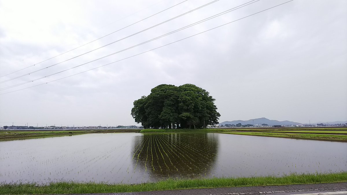 田んぼの中にぽつんと茂みに囲まれた神社のある風景がすごくグッとくる トトロがいそう 異世界の入り口 Togetter