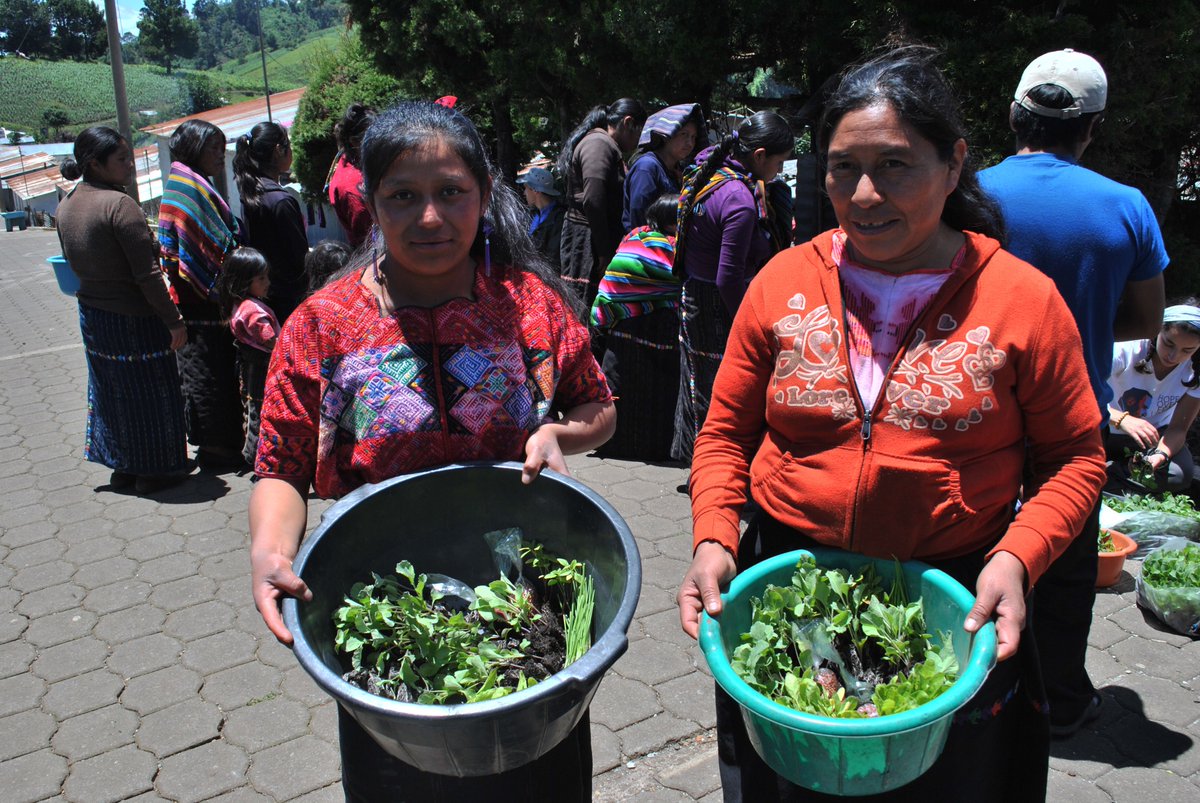 Yabal_'s tweet photo. Many families in our rural partner communities lack farmland in order to produce their own food. Because of this challenge, Yabal focuses on projects that allow families to produce food in limited spaces. https://t.co/iZwsqySxnP #Yabal #SocialProjects #GoodThings #LiveBetter https://t.co/9kWn2it0lR