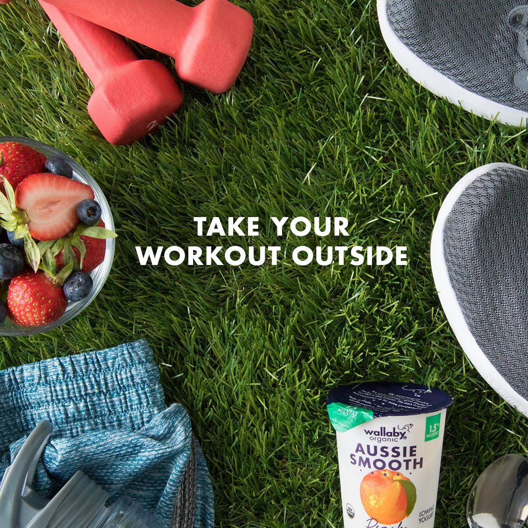 Wallaby Yogurt (@wallabyyogurt) / Posts / X