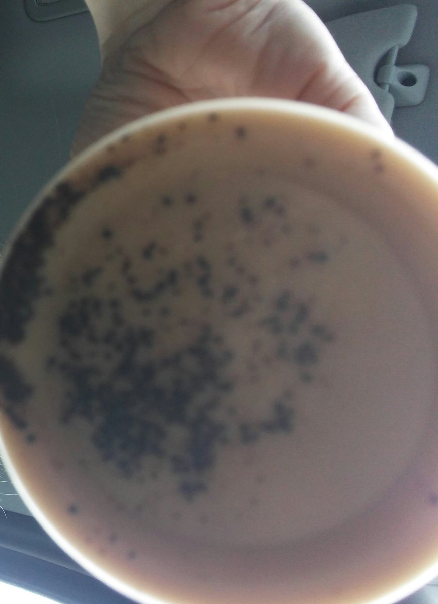 StephieHops's tweet image. Seriously how is this acceptable? @TimHortons #timhortonsproblems