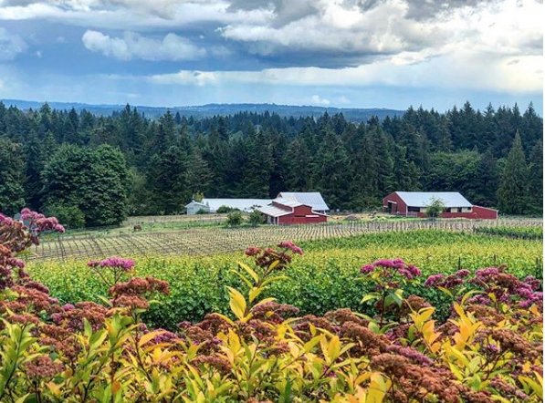 We never get tired of these beautiful views... When will we see you next? #HawksViewWinery