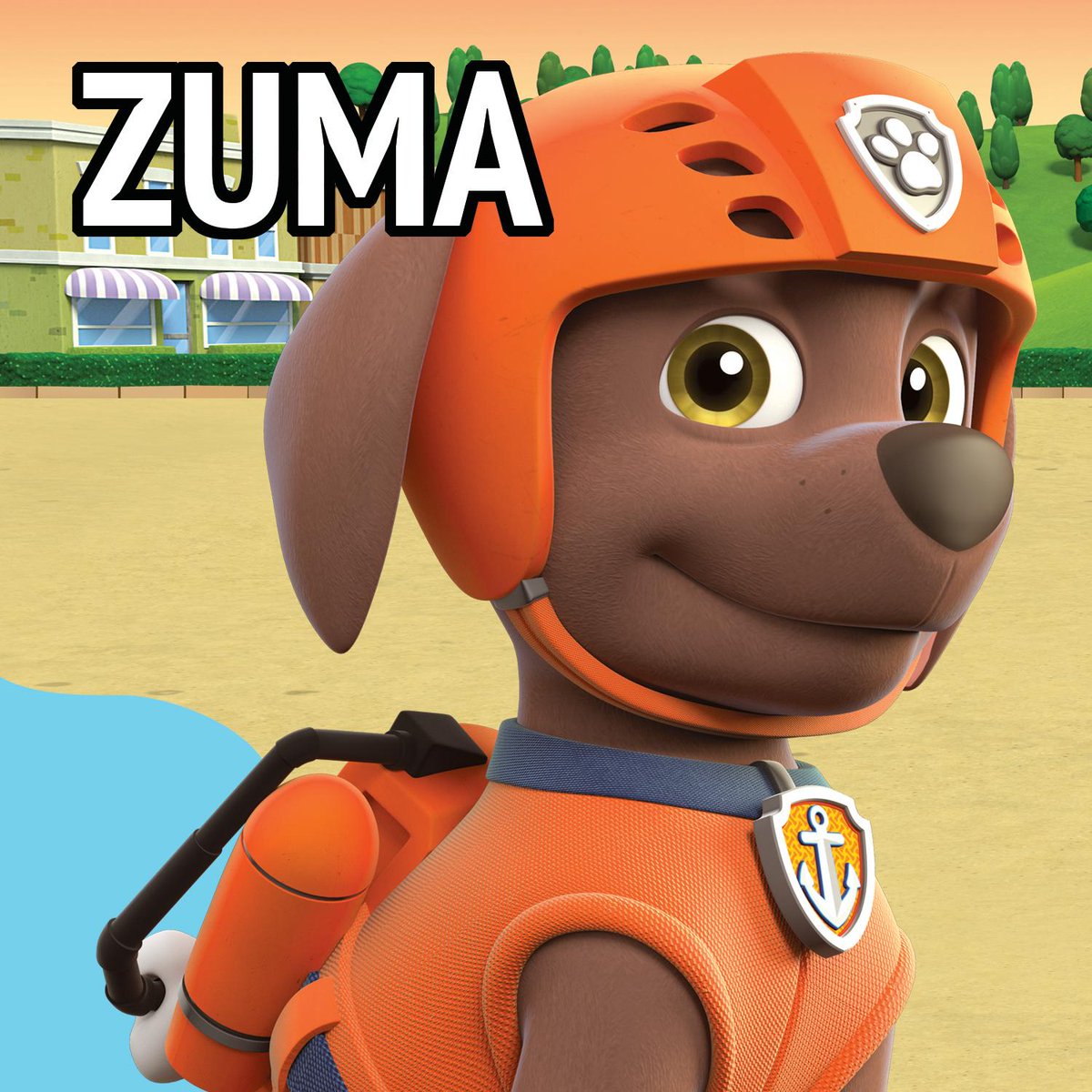 PAW Patrol on Twitter: "Let's dive in! Zuma is all about the water! He has lots of energy for adventure in store for him. #PAWPAtrol 🐶💙 https://t.co/bpGvx9ZJpL" / Twitter