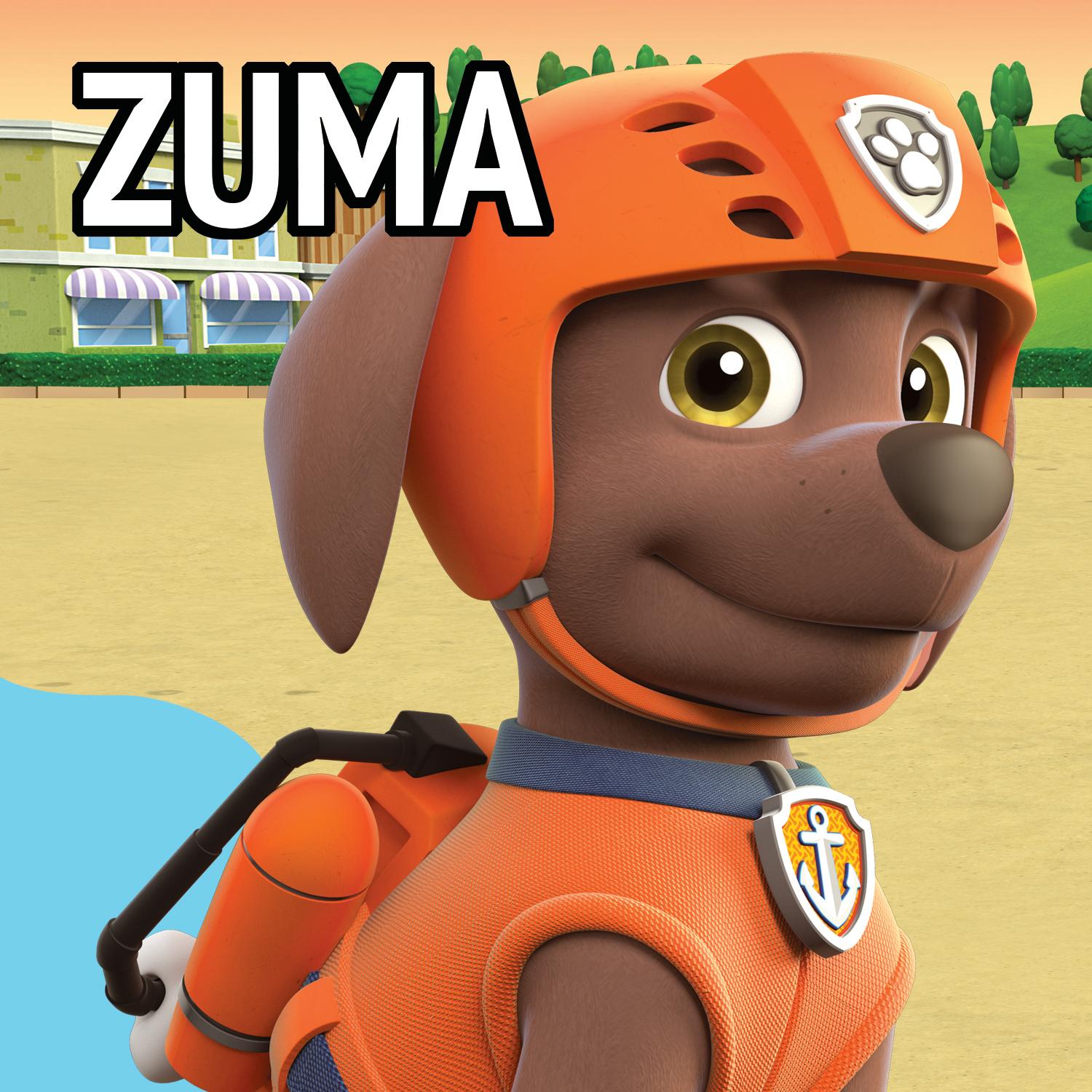 Paw Patrol Zuma Running Helmet Edible Cake Topper Image ABPID27247 A