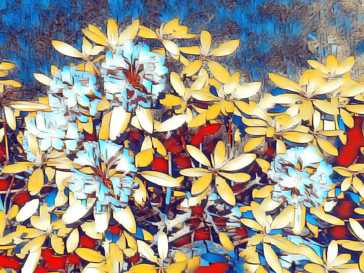 Floral beauty 6

#fineart #digitalart #contemporaryart
#art #artist #artistic #artists #arte #dibujo #artwork #color #colour #colorful #painting  #beautiful  #localartists #halifaxart #halifaxartist #halifaxnovascotia  #artcollection