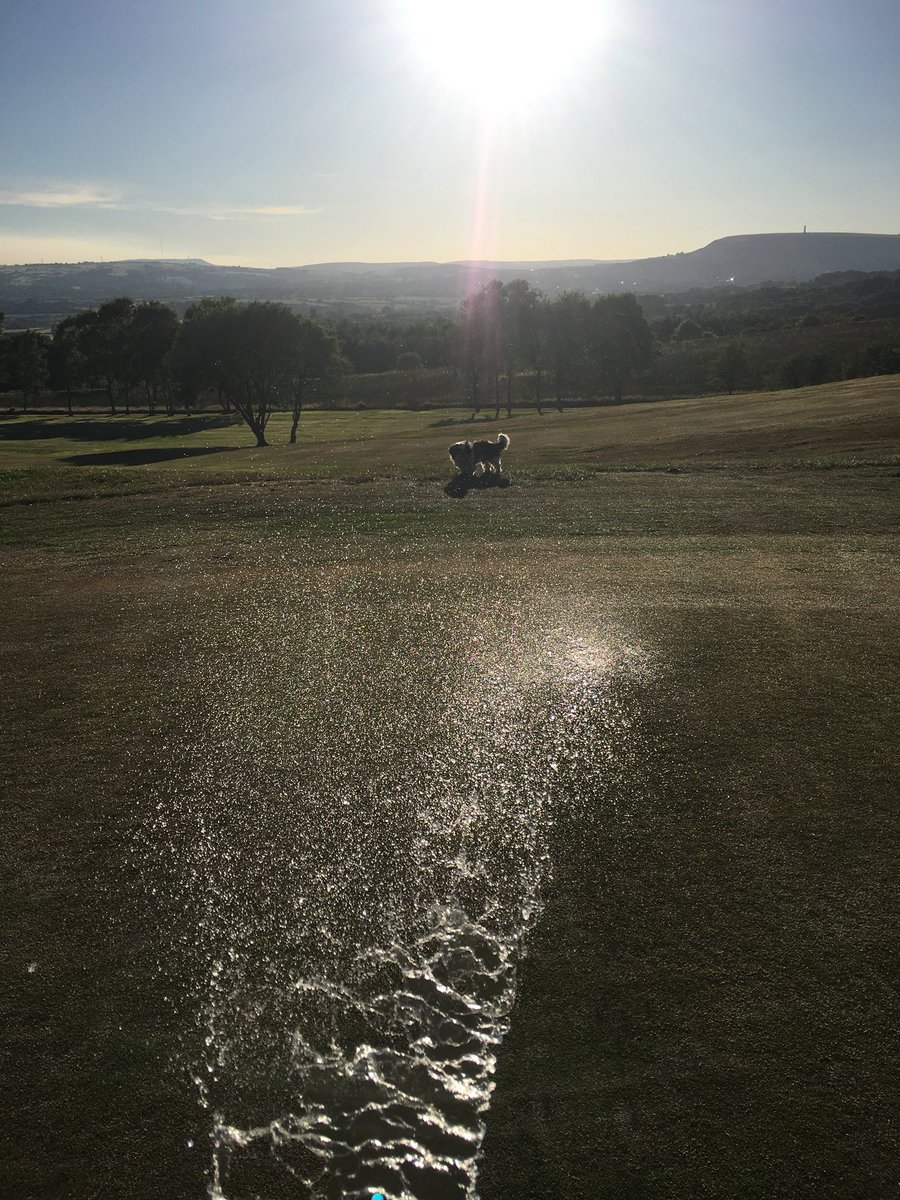 Me & my pooch doing a bit. Early evening into the night watering the greens. #fortheloveofgolf #soakingthegreens