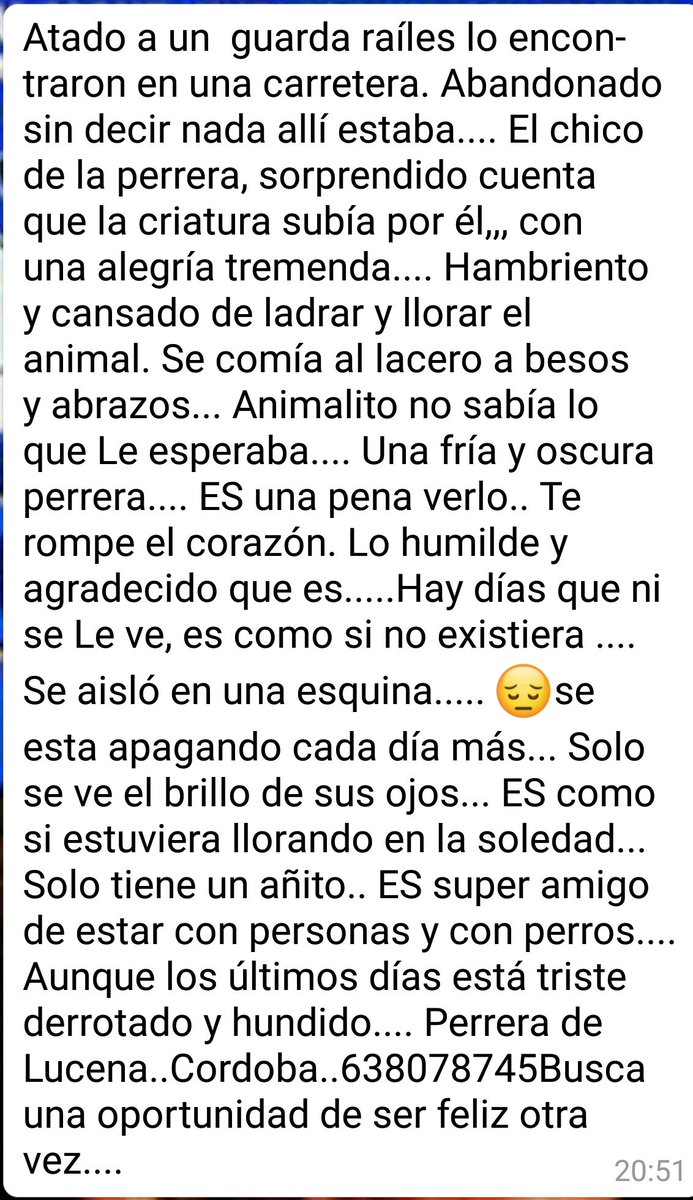 DesventurasCleo's tweet photo. ANIMALISTA una vez + pido AYUDA URG XFI LEE triste historia d este perrin. Lo abandonan y cuando alguien lo rescata, él se deshace en mimos y va a perrera. Se muere d pena, SE ESTA APAGANDO un RT NO CUESTA contacto @natalia20949880 ayudas? @ADOPTA_ESPANA @adoptaunavidaMD @vai3333 https://t.co/HslULpg0Si