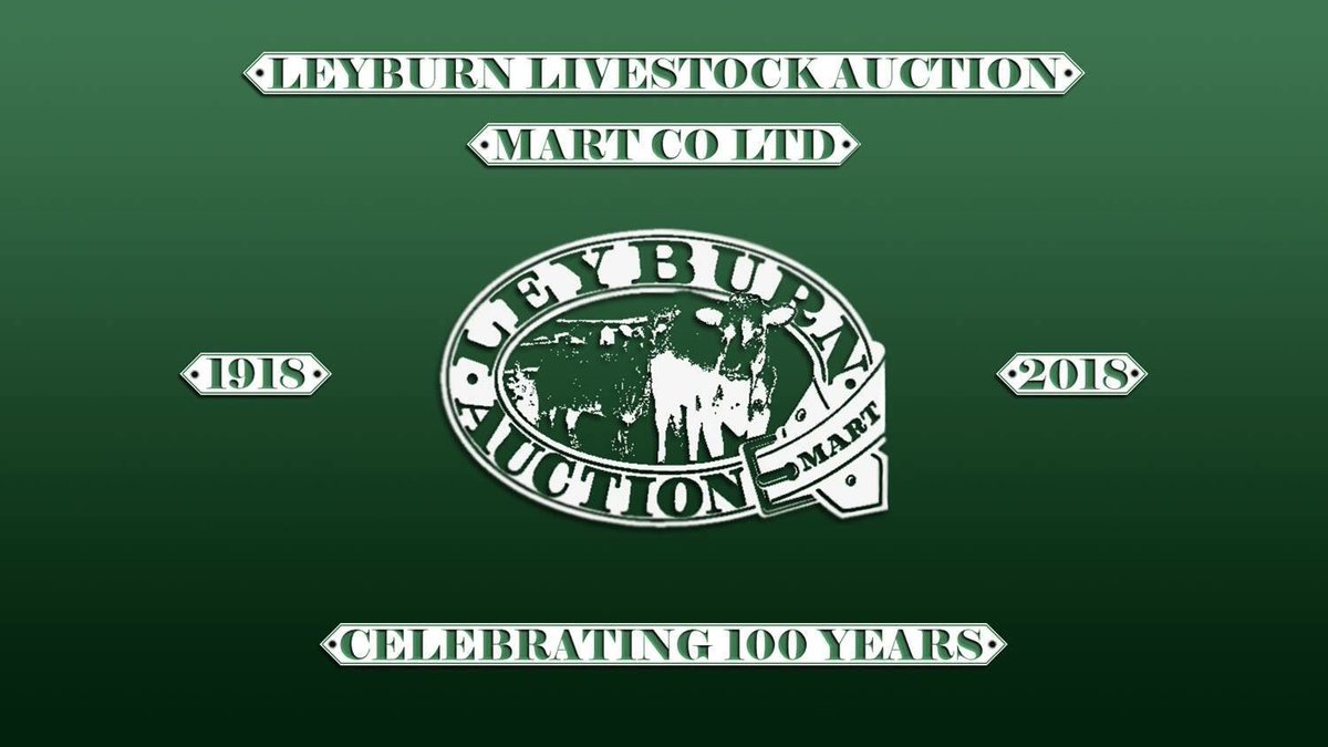 springhillyorks's tweet photo. This #Friday we’re giving away #FREE samples of our amazing #Dexter #Beef at the @leyburn_mart #CentenaryCelebrations afternoon from 2.30pm onwards. 
Look forward to seeing you there... !
#shoplocal #supportlocal #farmfresh #supportfarmerstoday #Wensleydale   #workingtogether https://t.co/ph5Ue09WRv