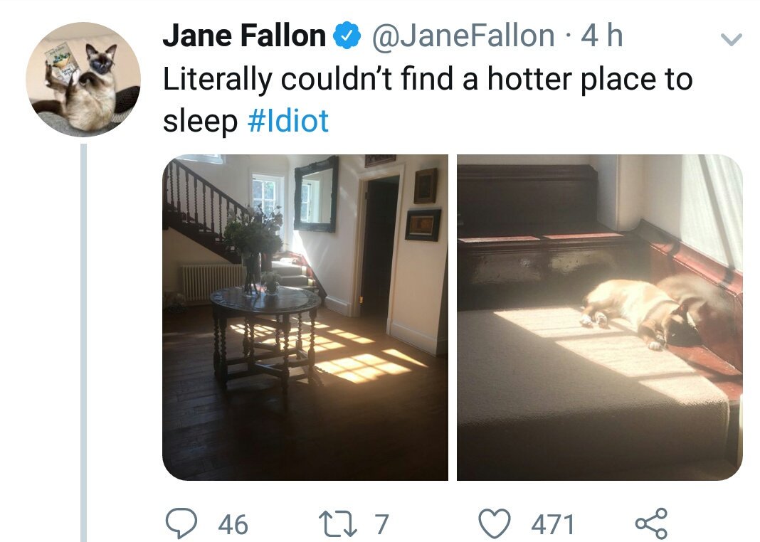 ElsewhereToo's tweet photo. @myleftfang Olliiiie #Sunshine : GET READY TO RIPOST!!! I was reported one of your acquaintance has been offensive to you. And many people liked it!!! #Revenge #WhyNotStairs #TheUpperTheBest #IsayNothing #ISawNothing https://t.co/BPS2FiOg7F