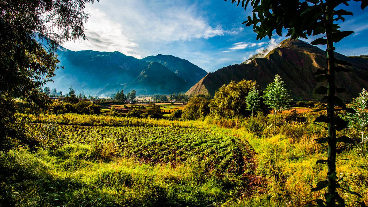InkaterraHotels's tweet photo. From visiting the Inkariy #Museum to #horseback riding and sunset #hikes, Inkaterra Hacienda #Urubamba offers countless ways for guests to get to know the #SacredValley https://t.co/4w7pHFRK8B https://t.co/o7XNGcdszC