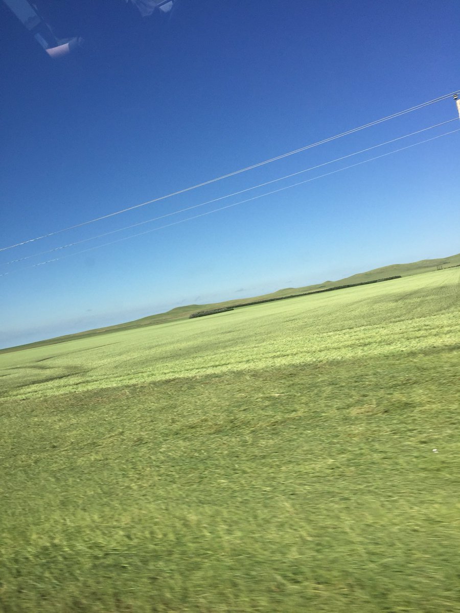 austinwiley014's tweet photo. All good things must come to an end. The picture on the left was chest high corn and on the right was an outstanding field of winter wheat. But after last nights hail it left everything mowed down. Hopefully it’s not to late to get some sunflowers in! @CHSInterns @CHSMidwestCoop https://t.co/5YLpg9AFsR