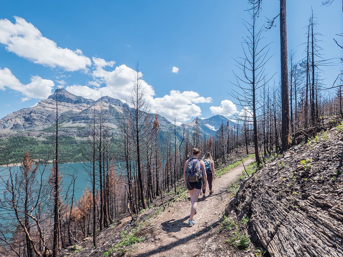 Waterton Lakes National Park, Parks Canada tweet media